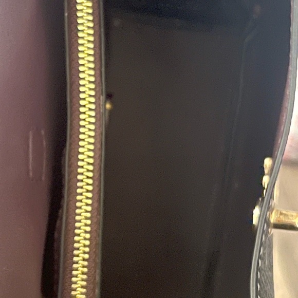 Coach Hadley Mini Crossbody Black with Gold Hardware - Picture 5 of 12